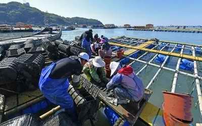 Mariculture Industry