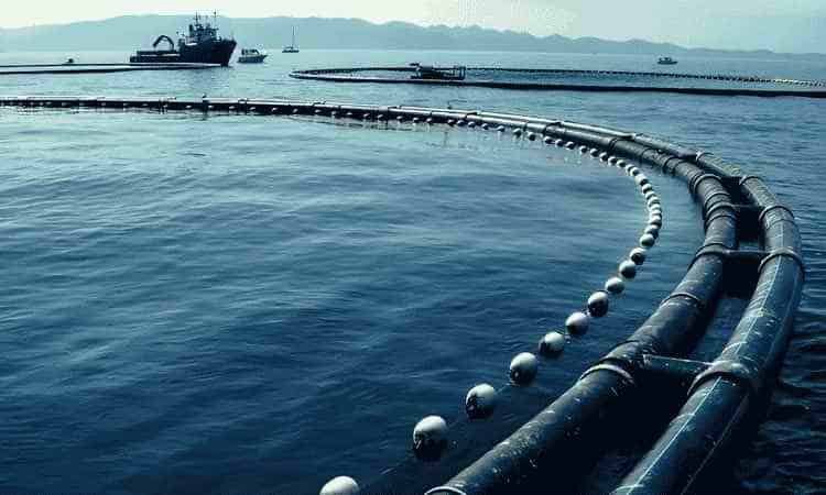 Marine Environment