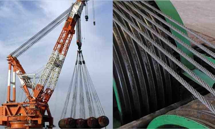 Flexibility and Versatility