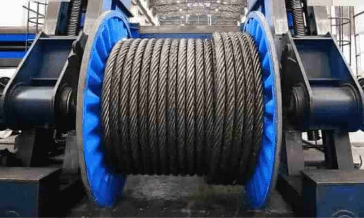 Safety and Regulatory Compliance